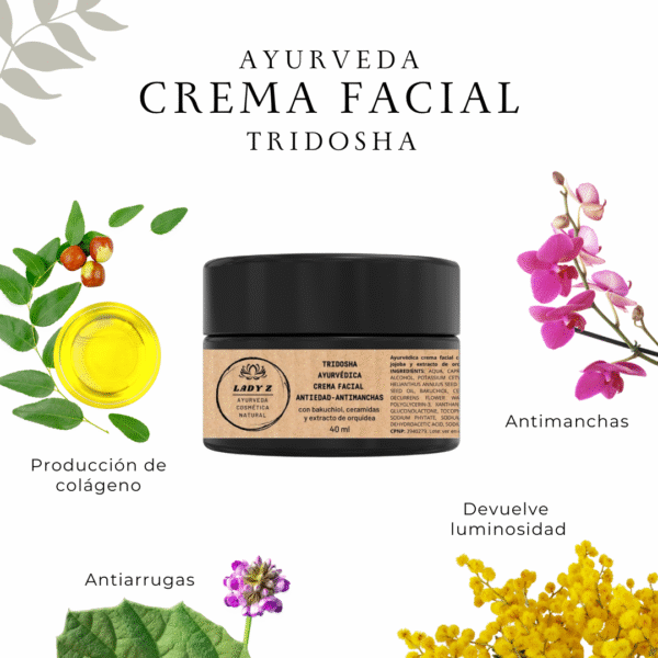 Crema facial TRIDOSHA ligera con retinol vegetal iluminadora antiedad y antimanchas 40 ml (con 30 SPF) - Imagen 2